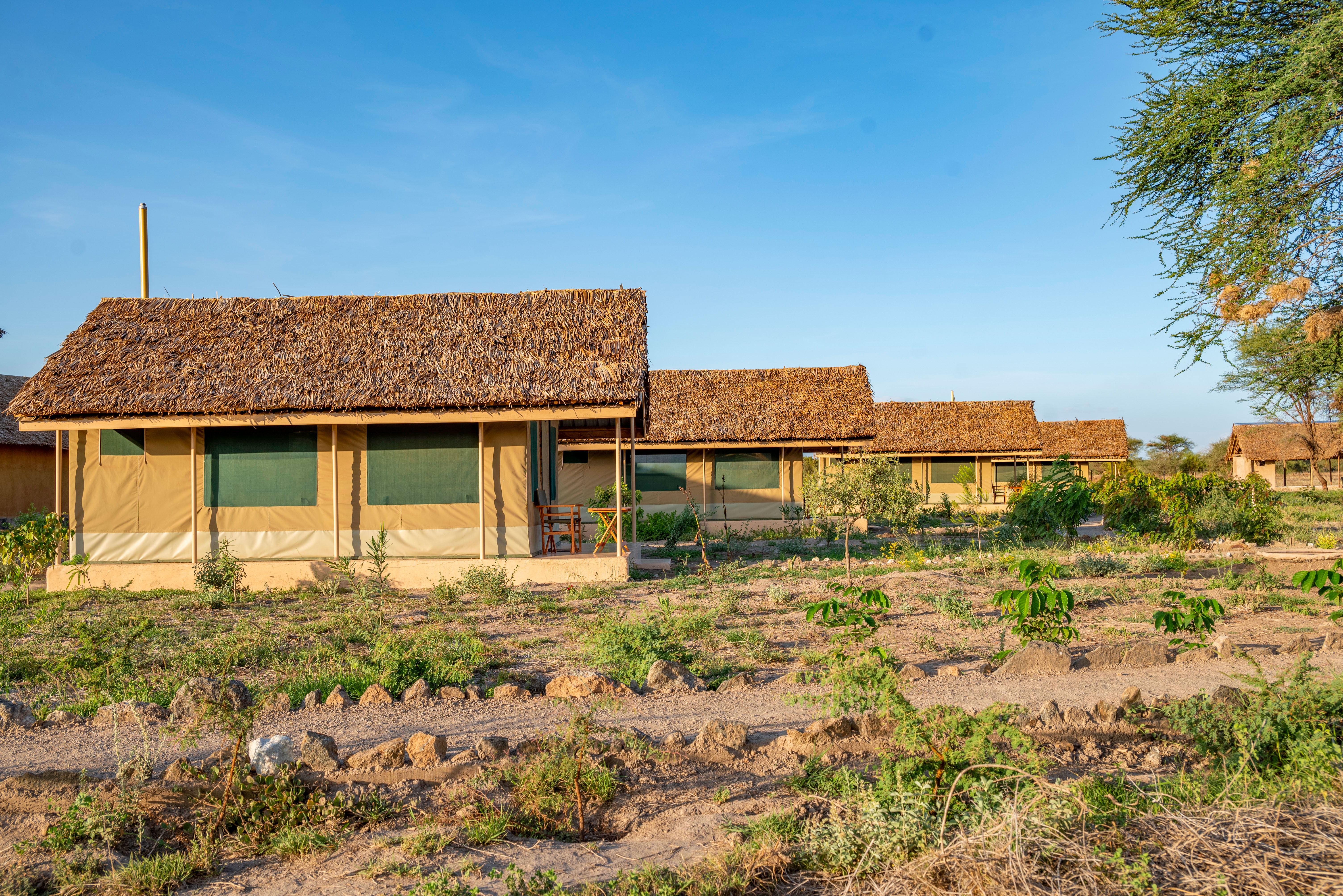 View of Mount Kilimanjaro